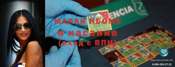 амф Каменка