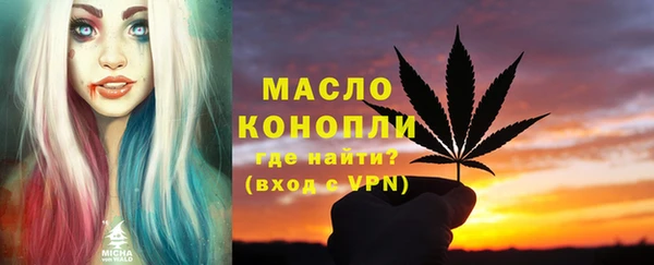 амф Каменка