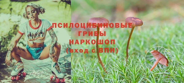 амф Каменка