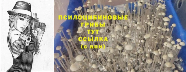 амф Каменка