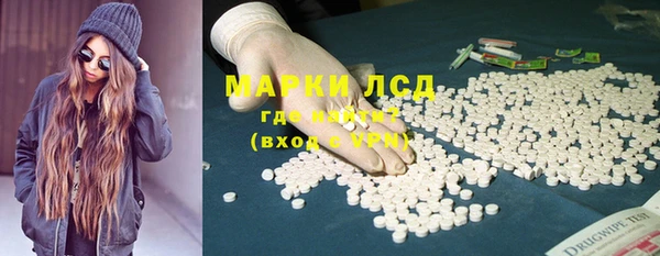 амф Каменка