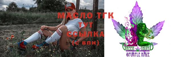 амф Каменка