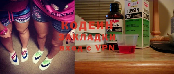 амф Каменка