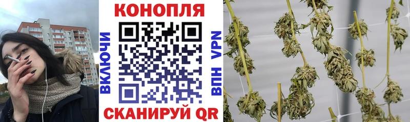 купить наркоту  Чудово  Марихуана индика 